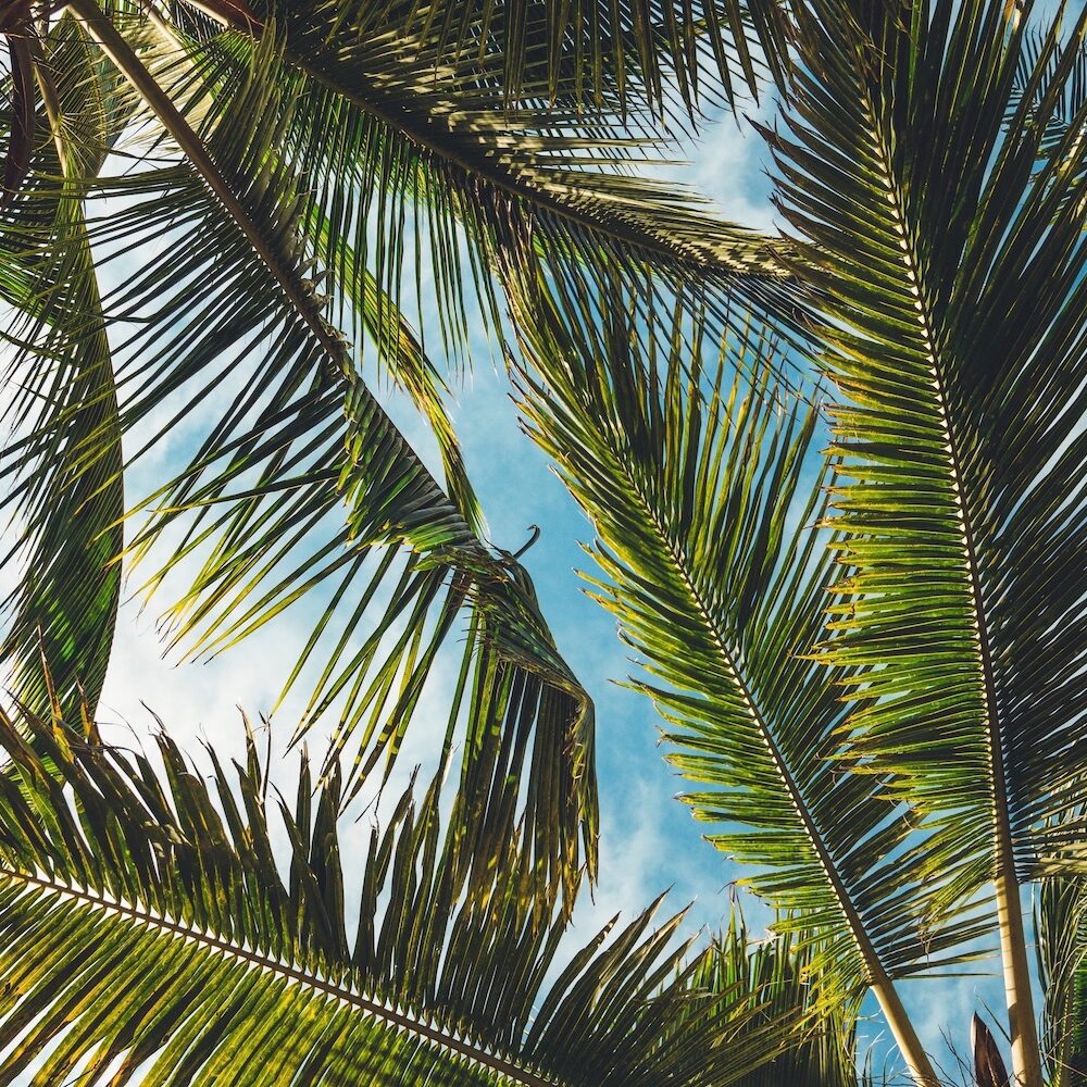 Home Office Praxi IT